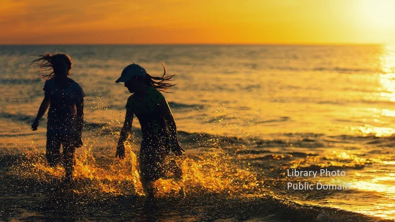 Photo link to Combe Martin Museum Events