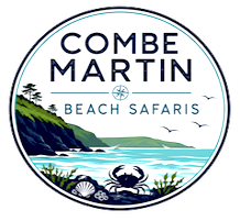Combe Martin Museum Maritime and Social History graphic. Sea, cliffs and a ship.