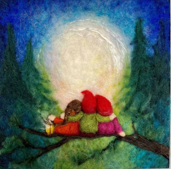 Het Houtlokael - Toverplaat | Ann Galland | Volle Maan