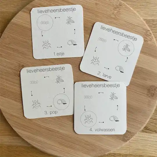 Wildebras - Flashcards | 5 in 1 Memory | Zo Groeien Dieren