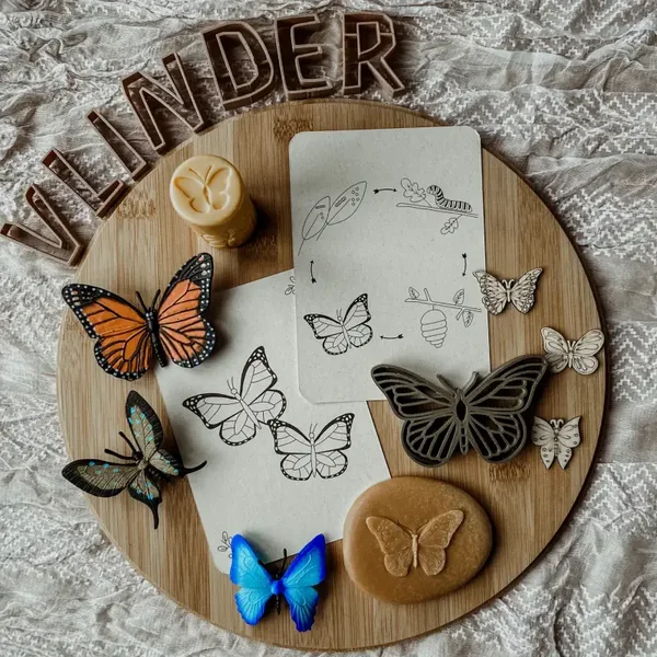 Wildebras - Flashcards | Levensloop | Set | Kip - Kikker - Vlinder - Narcis