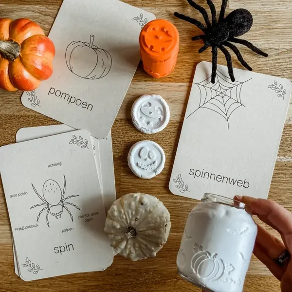 Wildebras - Flashcards | Levensloop | Spin