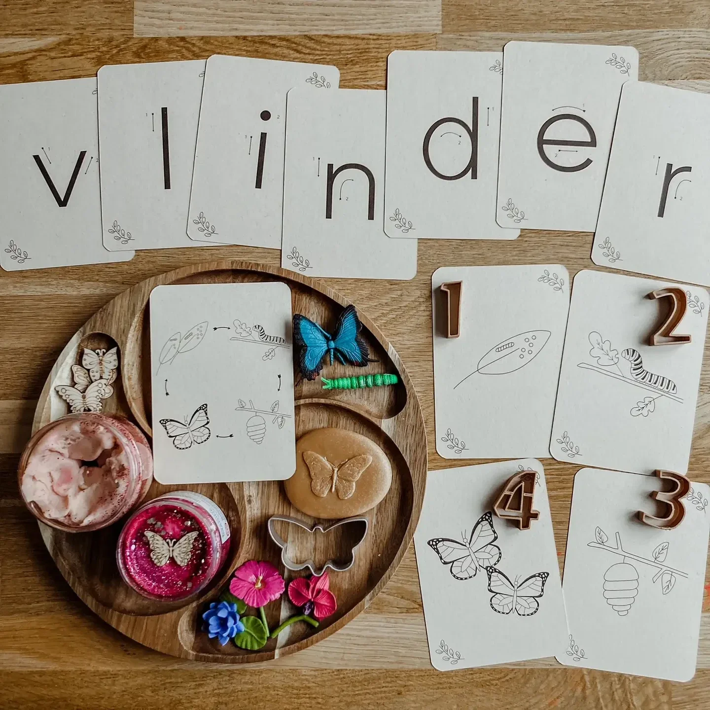 Wildebras - Flashcards | Levensloop | Vlinder