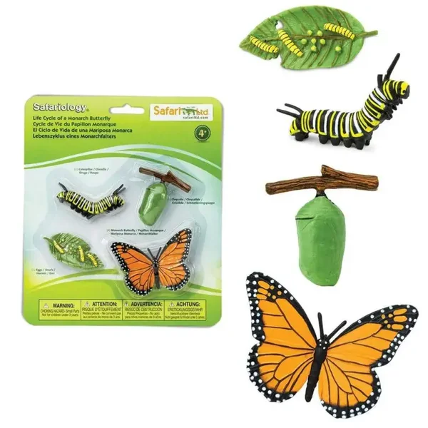 Safari LTD - Safariology | Levensloop | Monarch Vlinder