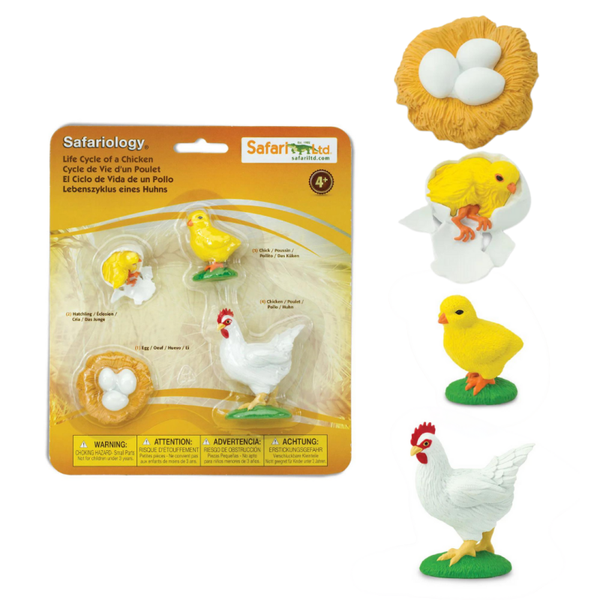 Safari LTD - Safariology | Levensloop | Kip