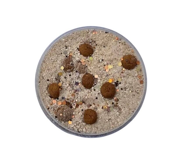 Sensoryfun - Fizz | Verrassingspot | Pepernoten