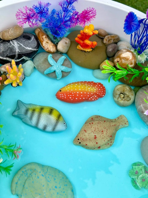 Yellow Door - Sensory Play Stones | Vissen