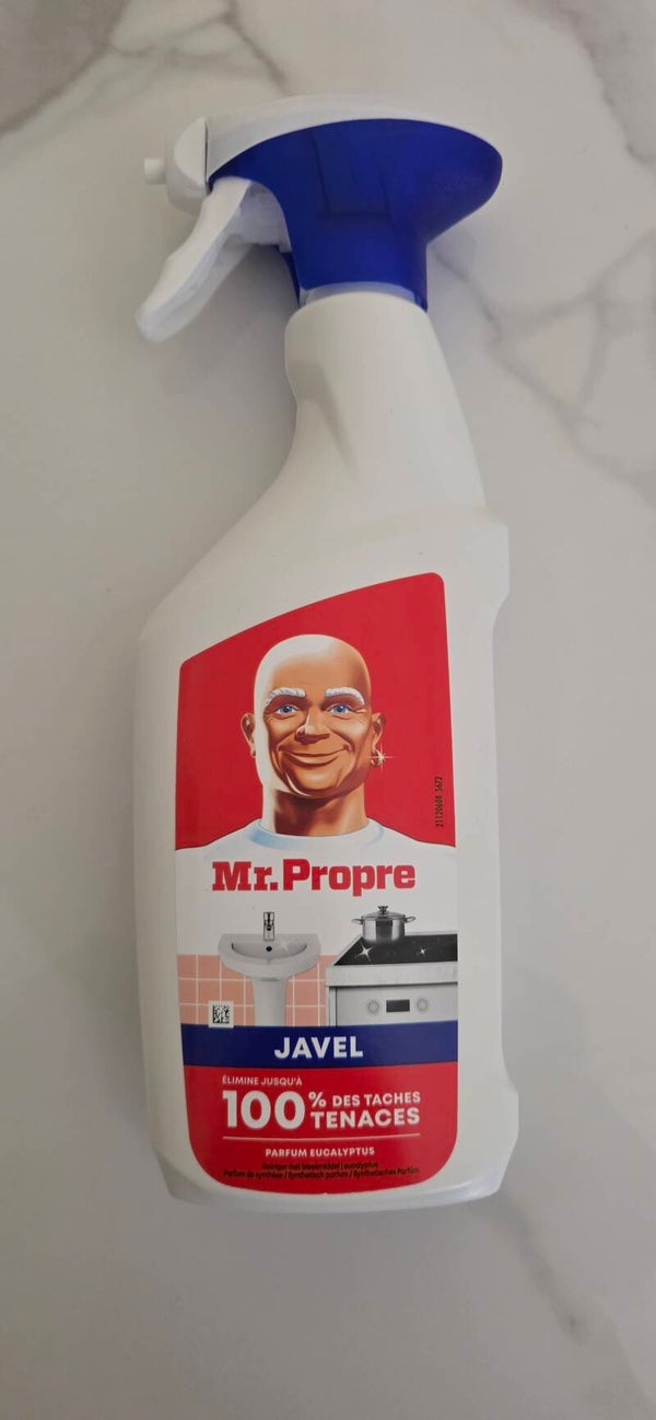 Mr propre gel nettoyant Javel