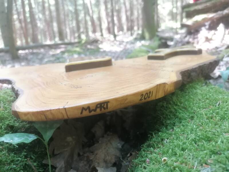 Eingangsschild Baumscheibe Unikat