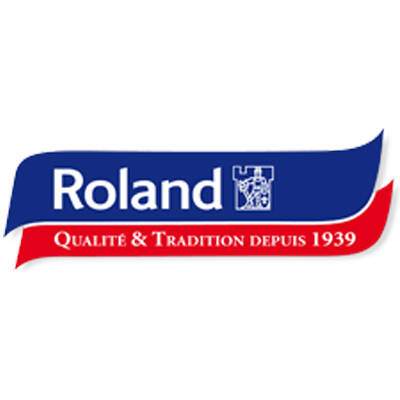roland_logo.jpg