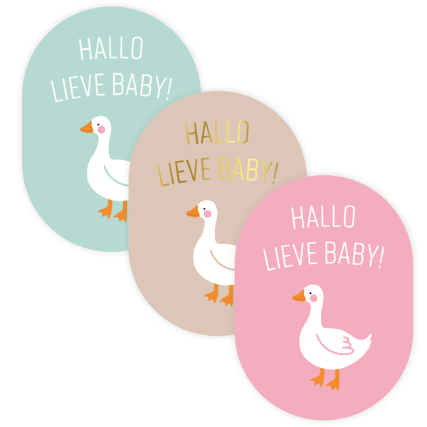 Hallo lieve baby gans stickers/12 stuks