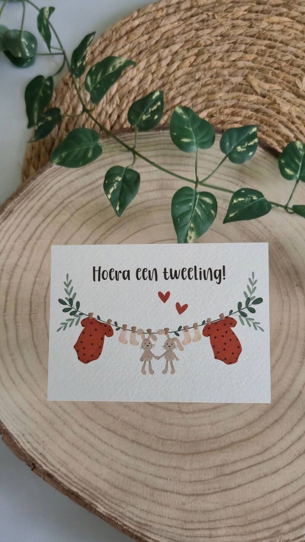 Hoera een tweeling!