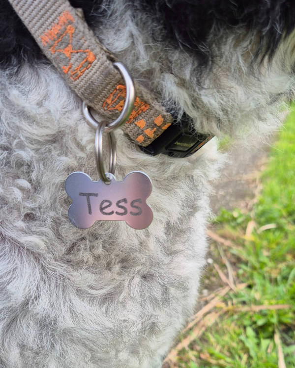 Hondenpenning bot met gravering