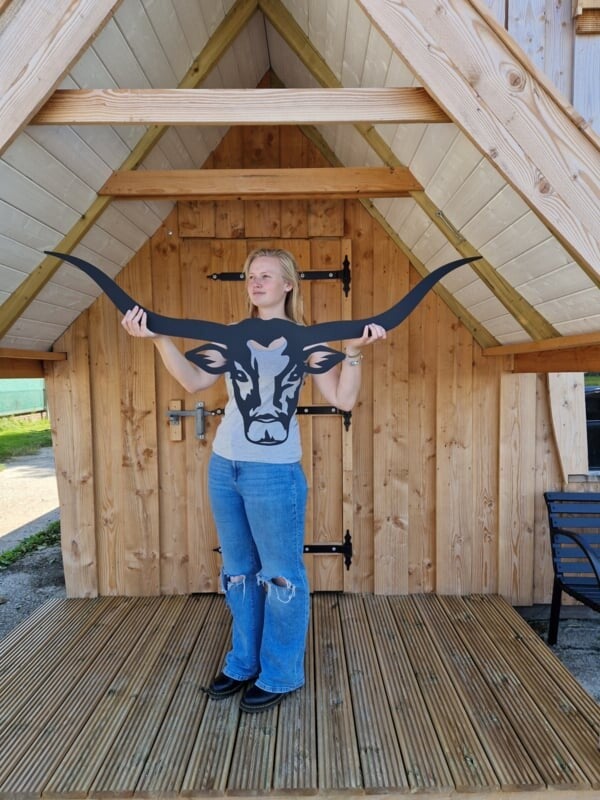 texas longhorn groot