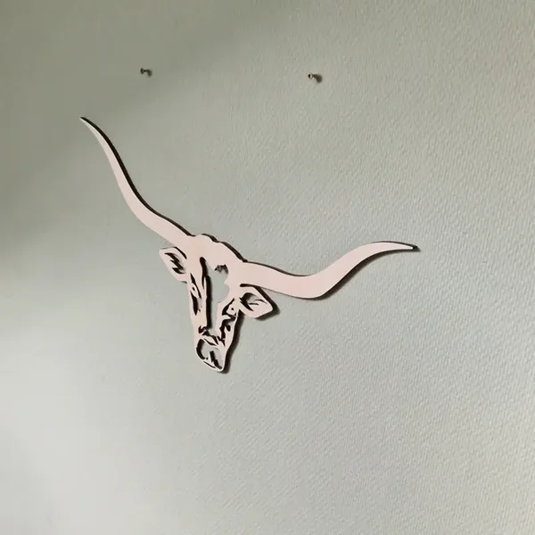 Texas longhorn