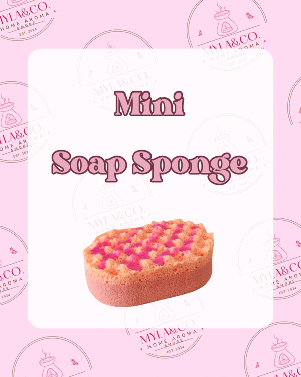 Small Soap Sponge