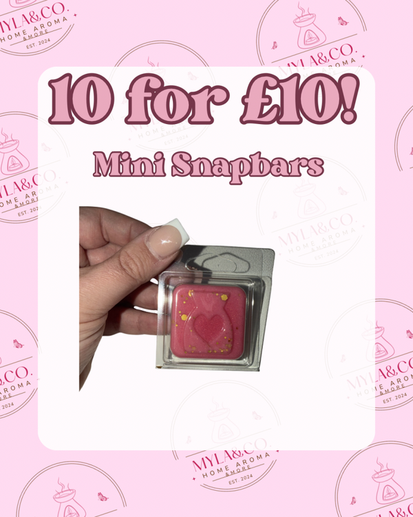 10 for £10 Mini Snapbars