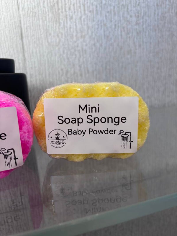 Small Soap Sponge