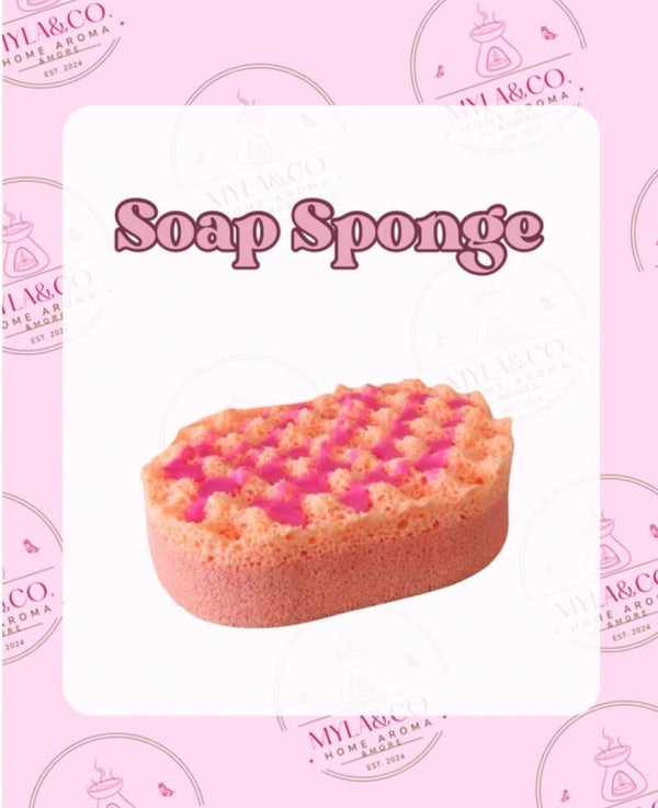 Mini Soap Sponges *PREORDER*