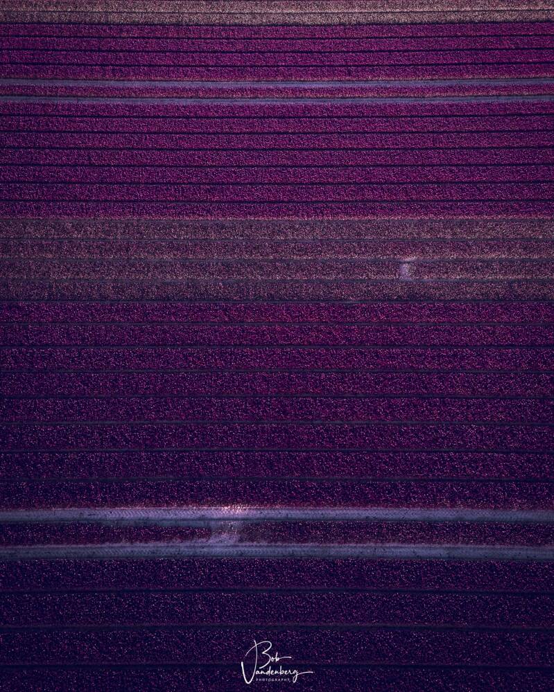 drone2-final2-standard.jpg
