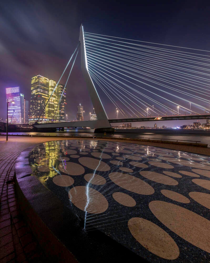 erasmusbrug-pano-standard.jpg