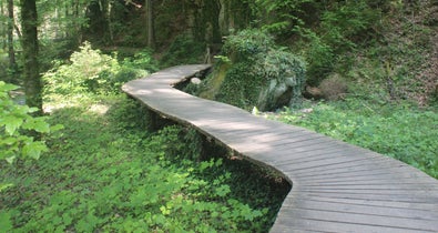 Mediation Nuria Weidner in Trier