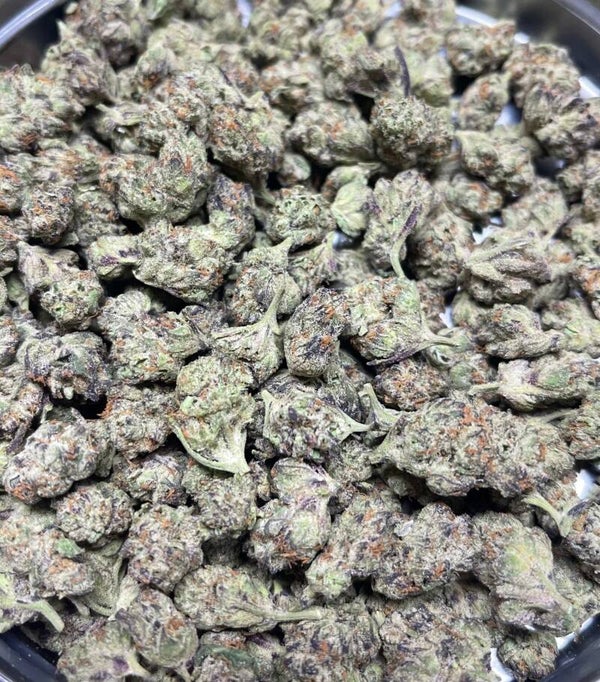 Gelato Small Buds