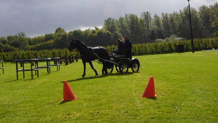 dsc02567-standard.jpg