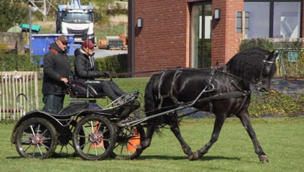 dsc02579-standard.jpg