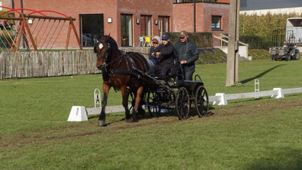 dsc02683-standard.jpg