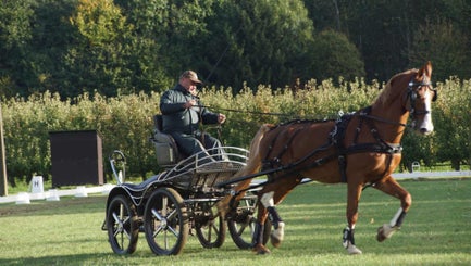 dsc02705-standard.jpg