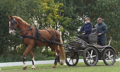dsc02725-standard.jpg