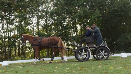 dsc02727-standard.jpg