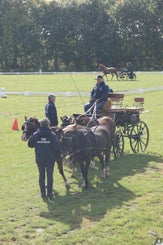 dsc04410-standard.jpg