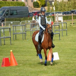 dsc07322-standard.jpg