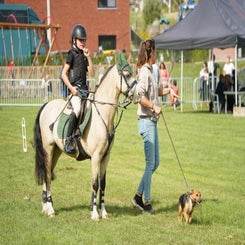 dsc07333-standard.jpg