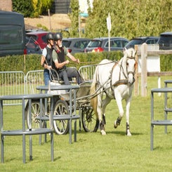 dsc07340-standard.jpg