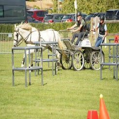 dsc07341-standard.jpg