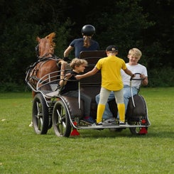 dsc07355-standard.jpg