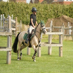 dsc07401-standard.jpg