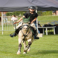 dsc07409-standard.jpg
