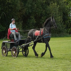 dsc07413-standard.jpg