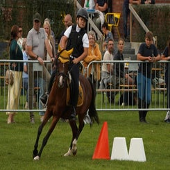 dsc07633-standard.jpg