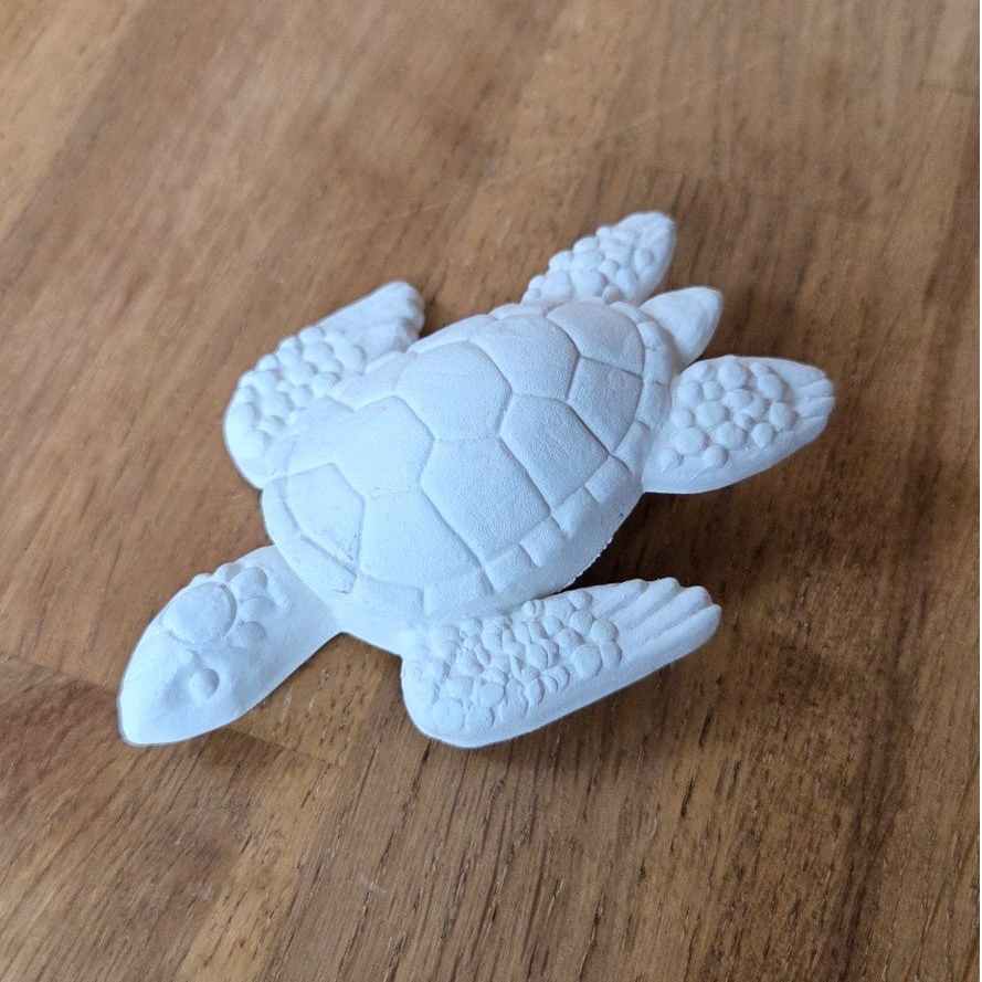 Schildkröte 10cm