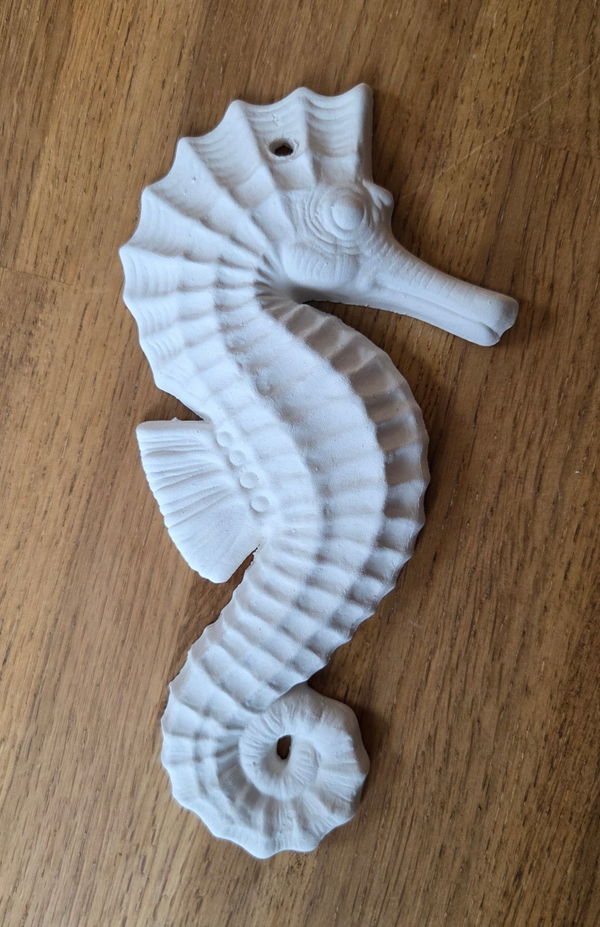 Seepferdchen