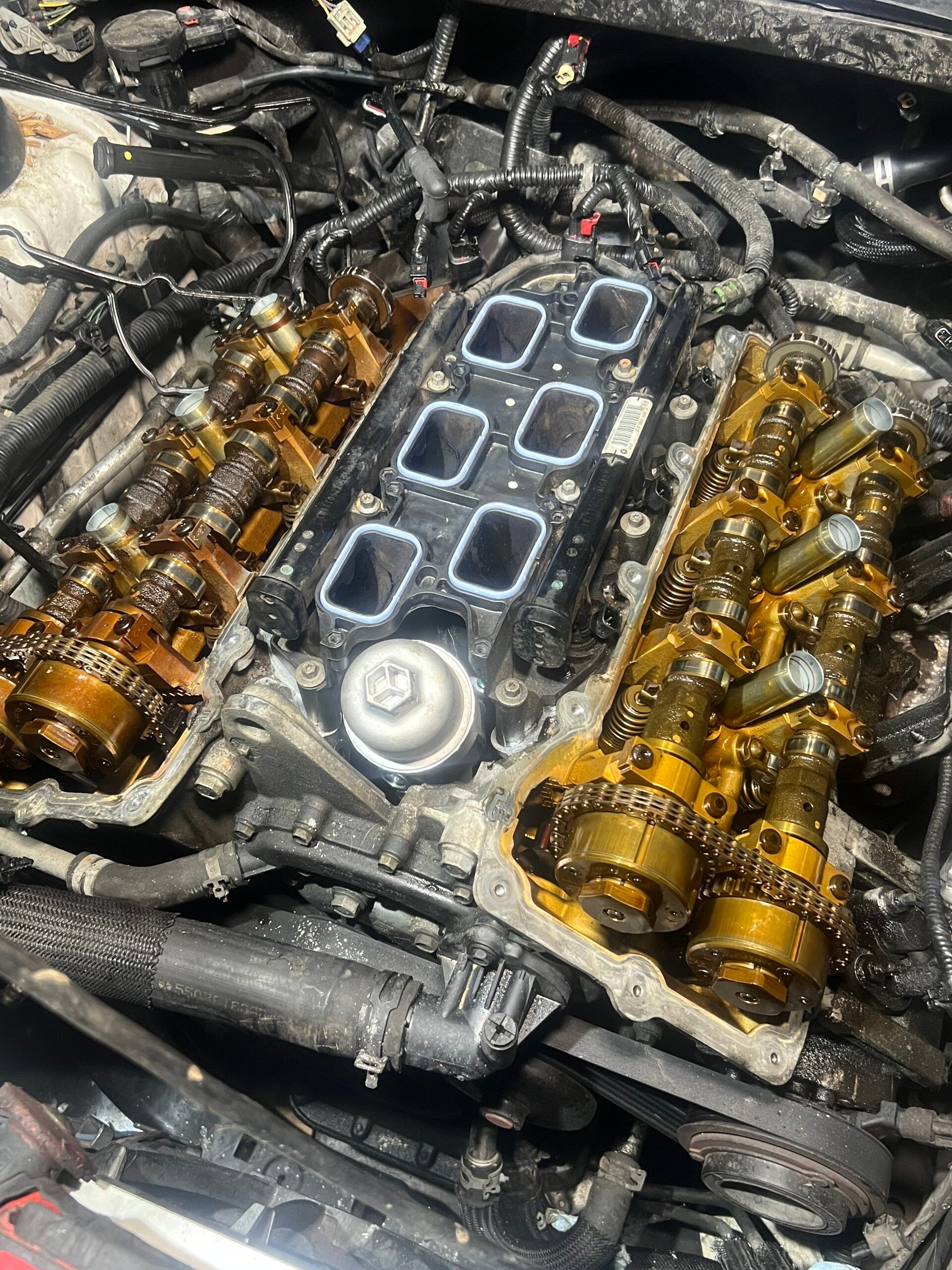 img_4775-standard.jpg