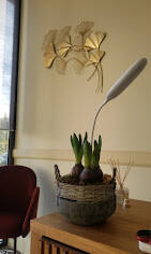 Carte cadeau d'une valeur de 100€