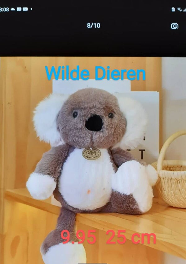 Wilde Dieren