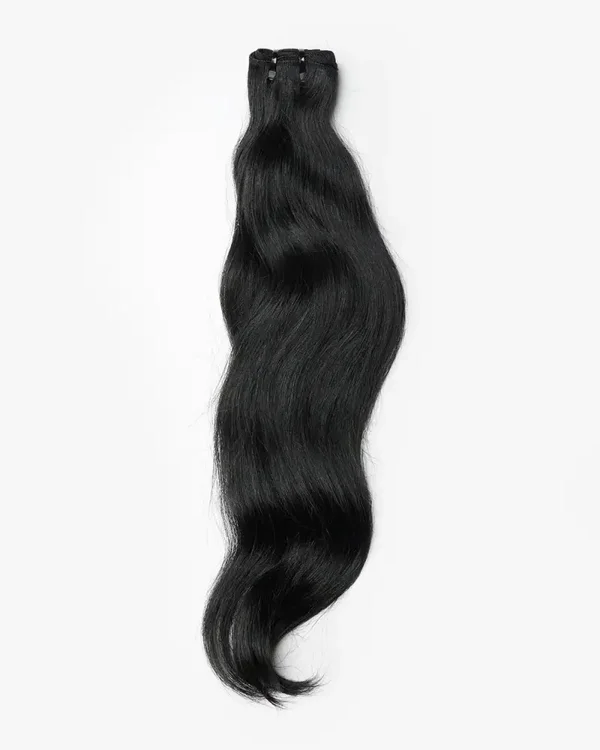Body Wave