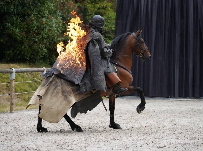 cheval-de-feu-standard.jpg